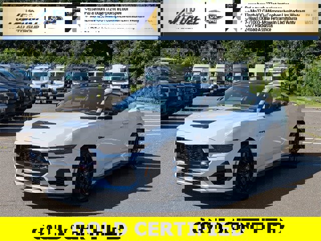 Certified 2024 Ford Mustang GT Premium w/ Mustang Nite Pony Package image 1