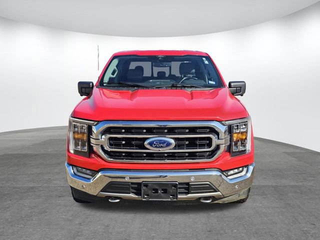 Certified 2021 Ford F150 XLT w/ Equipment Group 302A High image 7