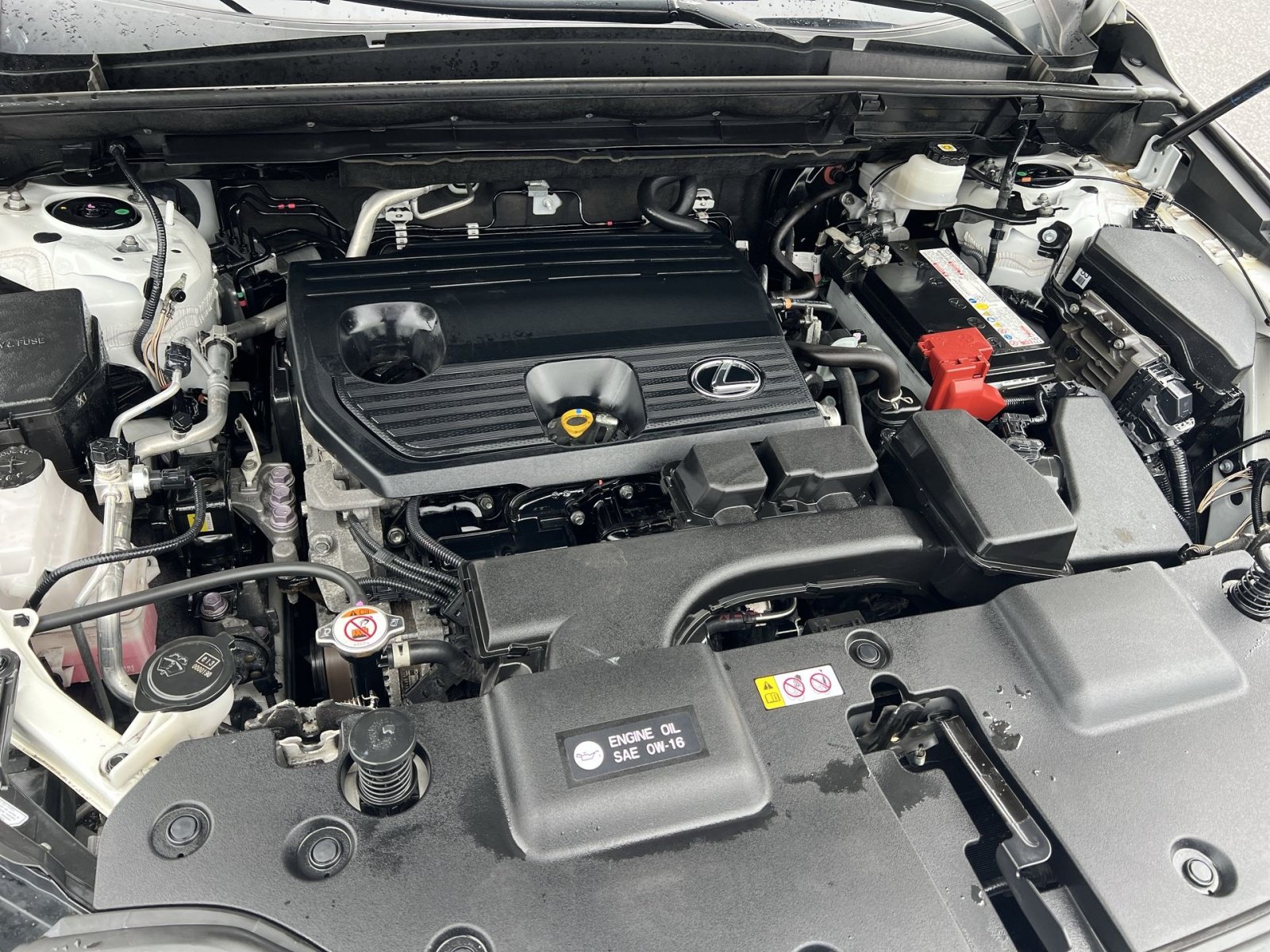 Used 2024 Lexus NX 250 FWD w/ Cold Area Package image 26