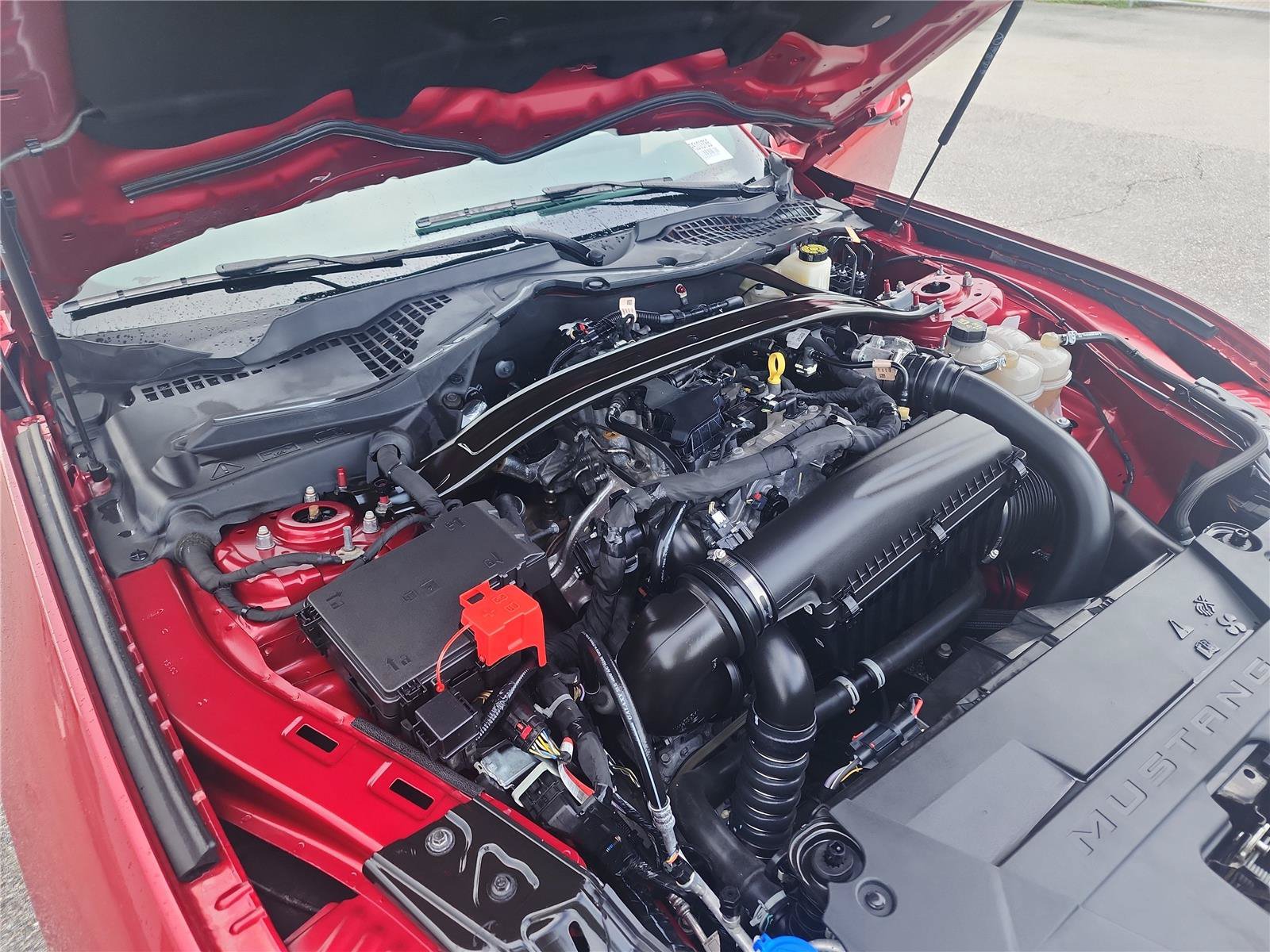 Certified 2024 Ford Mustang Premium RWD image 12