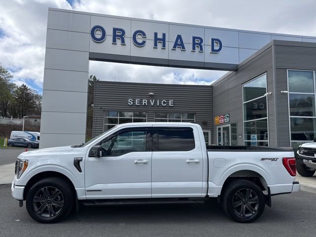 Certified 2023 Ford F150 XLT w/ Equipment Group 302A High AWD/4WD image 2