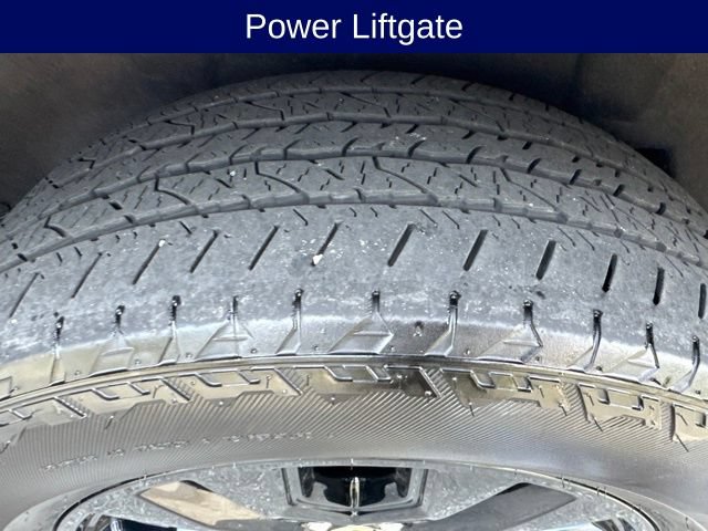 Certified 2024 Ford Expedition XLT AWD/4WD image 14