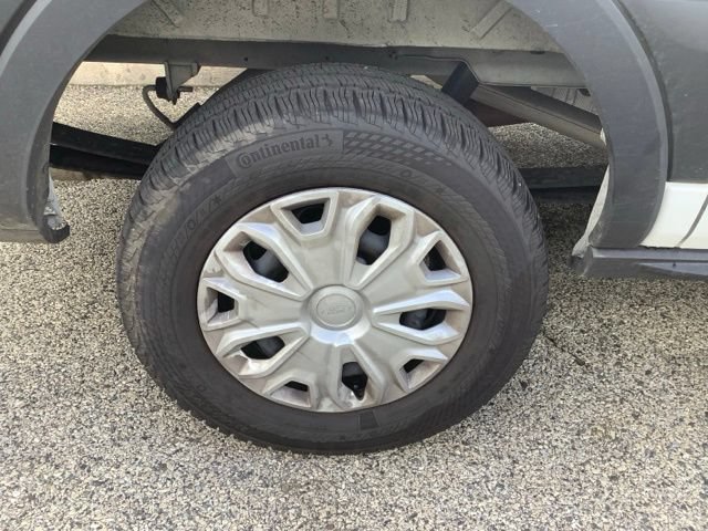 Certified 2026 Ford Transit 250 Low Roof w/ Exterior Upgrade Package RWD image 31