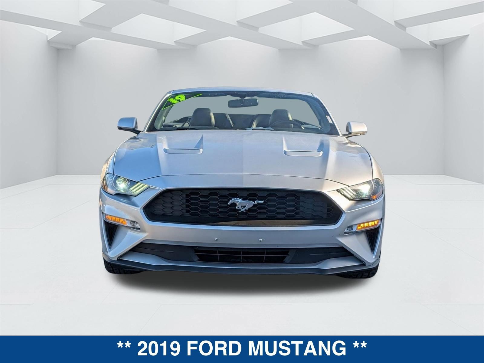 Certified 2019 Ford Mustang Premium image 8