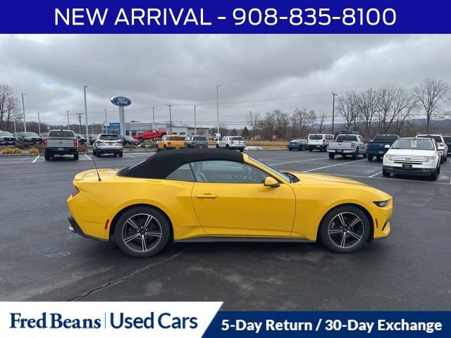 Certified 2024 Ford Mustang Premium image 9