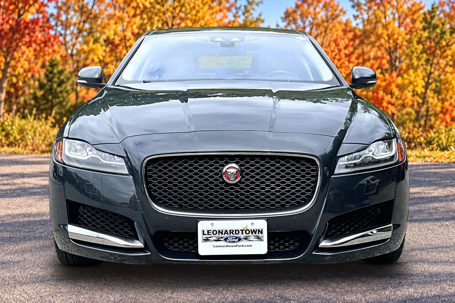 Used 2017 Jaguar XF Premium AWD/4WD image 3