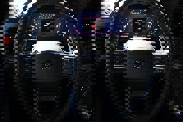 Certified 2025 Ford F150 Raptor image 15