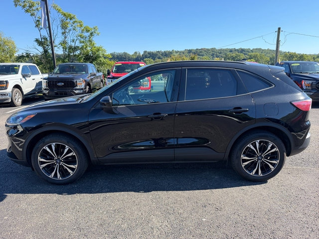 Certified 2022 Ford Escape SEL w/ SEL Stealth AWD Package image 2