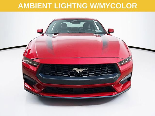 Certified 2024 Ford Mustang Premium image 6