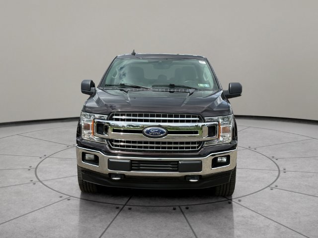 Certified 2019 Ford F150 XLT w/ Equipment Group 302A Luxury AWD/4WD image 14