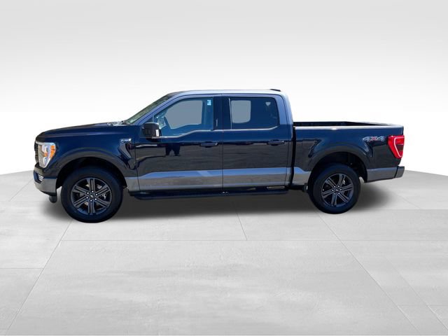 Certified 2023 Ford F150 XLT w/ Equipment Group 302A High AWD/4WD image 9