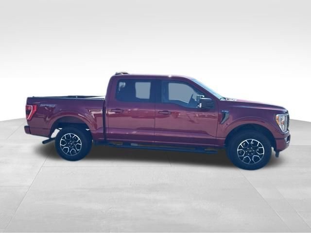 Certified 2021 Ford F150 XLT w/ Equipment Group 302A High AWD/4WD image 6