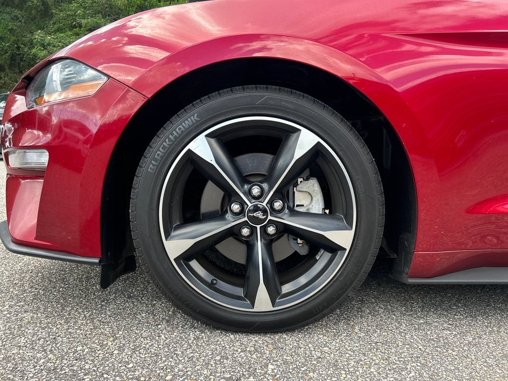 Certified 2019 Ford Mustang Coupe RWD image 7