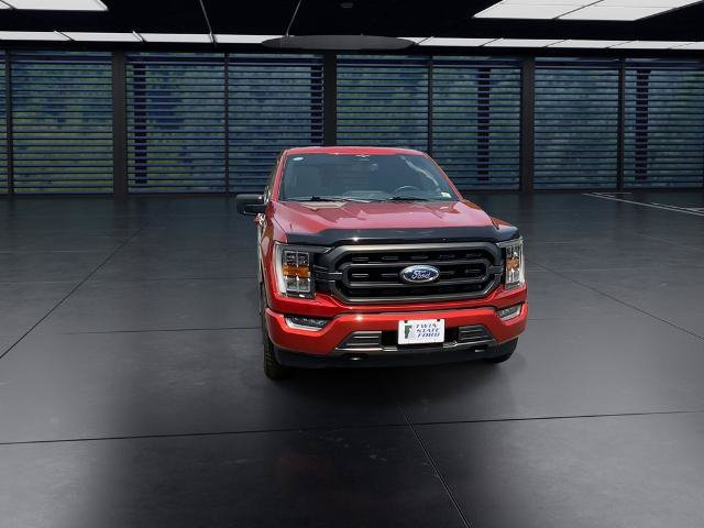 Certified 2023 Ford F150 XLT w/ Equipment Group 302A High AWD/4WD image 5