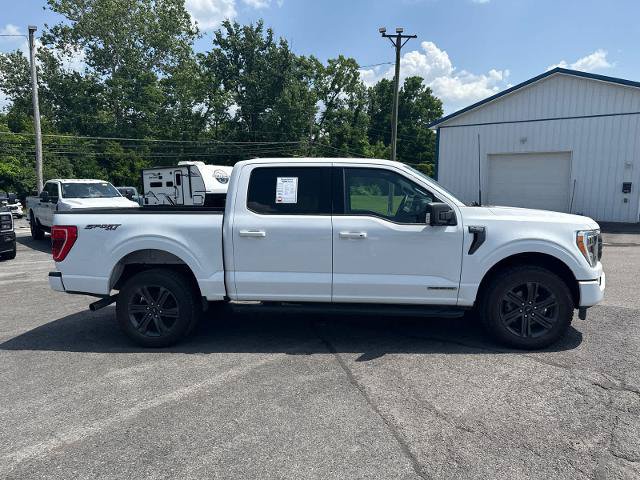 Certified 2023 Ford F150 XLT w/ Equipment Group 302A High AWD/4WD image 4
