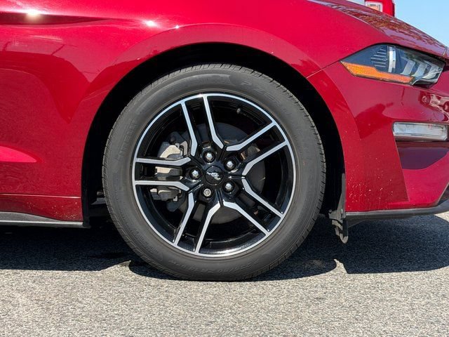 Certified 2019 Ford Mustang Premium RWD image 32