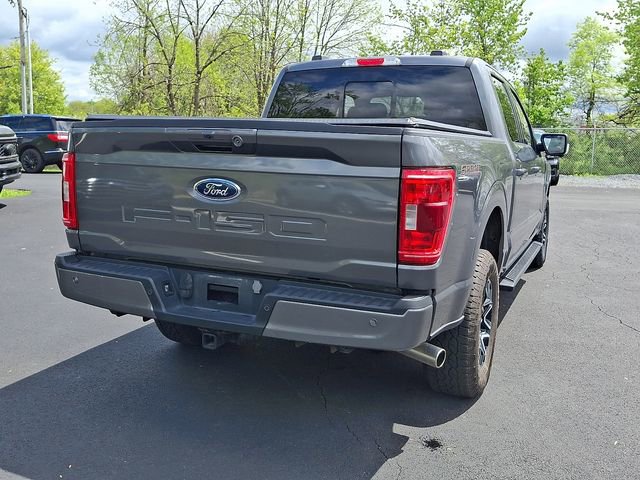 Certified 2023 Ford F150 XLT w/ Equipment Group 302A High AWD/4WD image 13