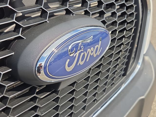 Certified 2025 Ford Transit 250 Low Roof w/ Exterior Upgrade Package RWD image 29