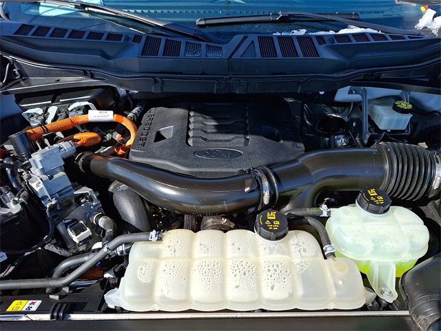 Certified 2023 Ford F150 Limited image 27