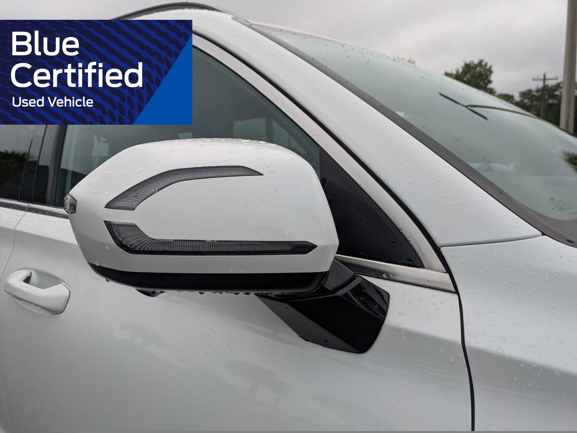 Used 2024 Hyundai Palisade Calligraphy AWD/4WD image 15
