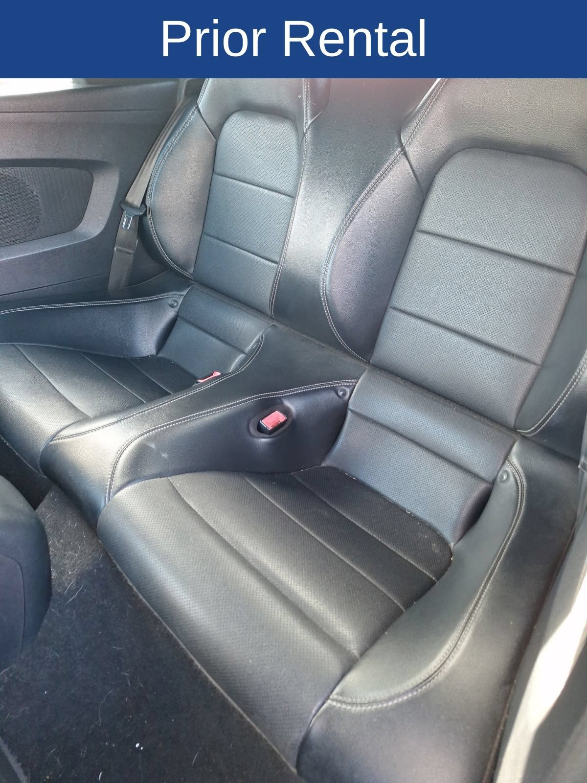Certified 2020 Ford Mustang Premium RWD image 15