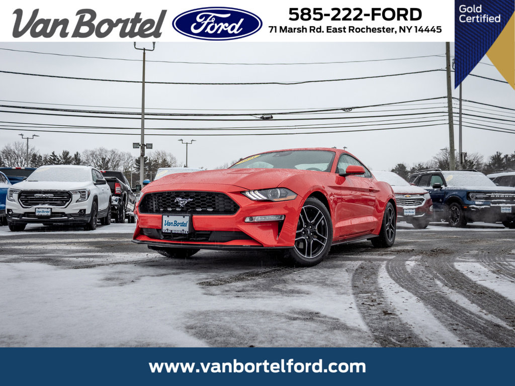 Certified 2021 Ford Mustang Premium image 1