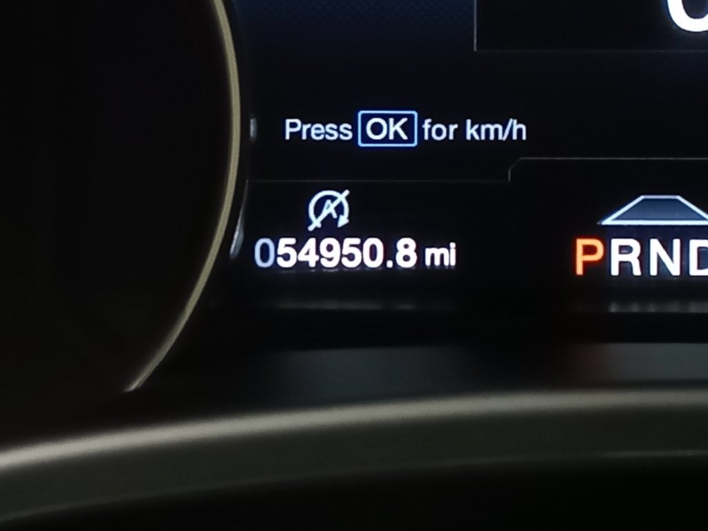 Certified 2019 Ford F150 Raptor w/ Equipment Group 802A Luxury AWD/4WD image 20