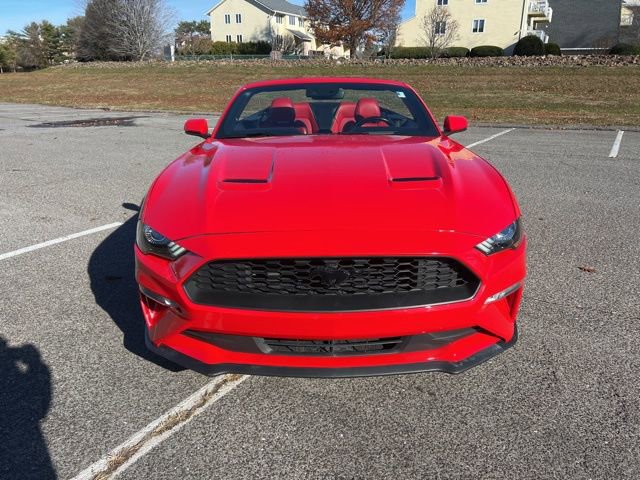 Certified 2019 Ford Mustang Premium w/ Equipment Group 201A image 14