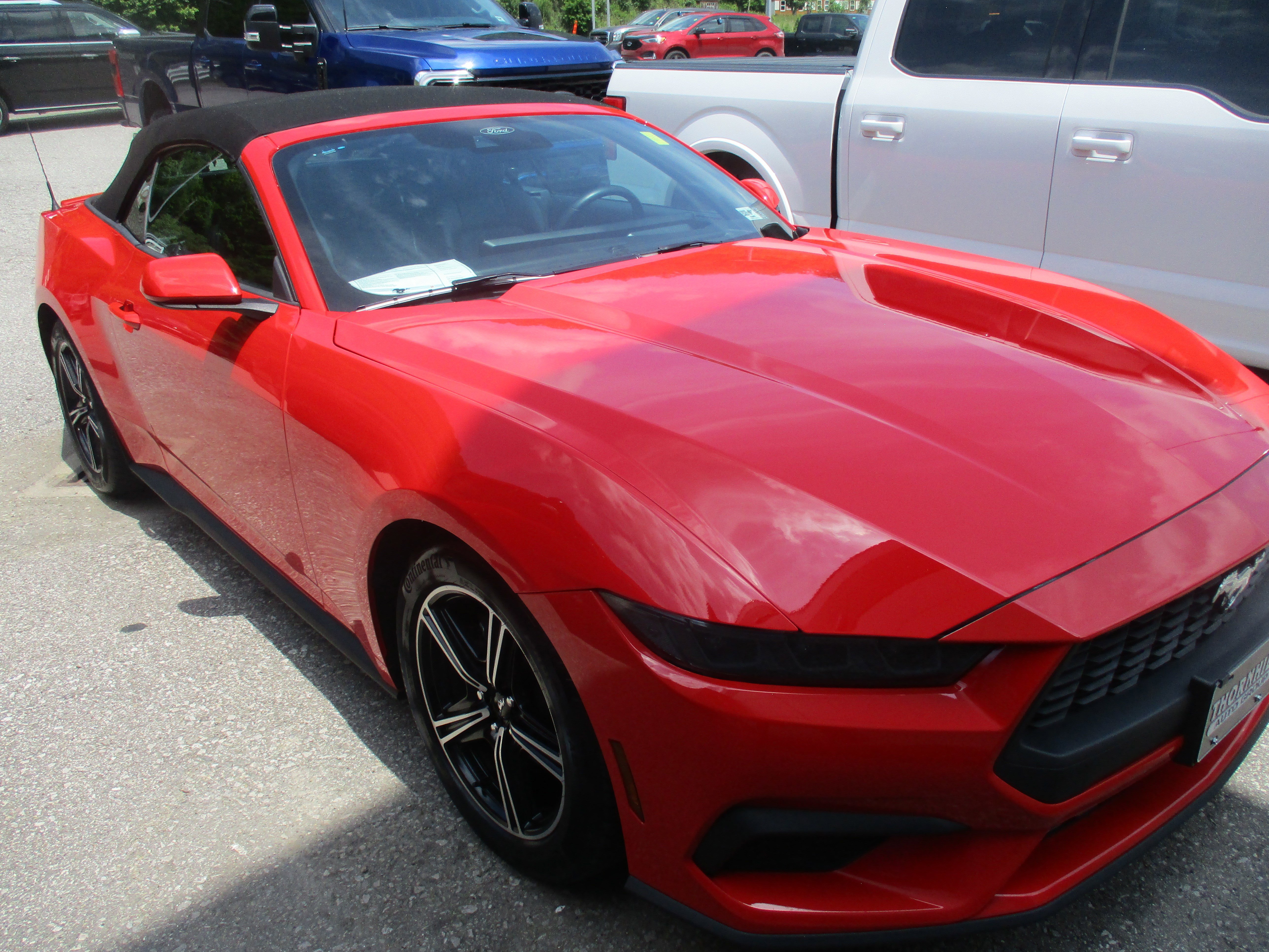 Certified 2025 Ford Mustang Premium RWD image 1