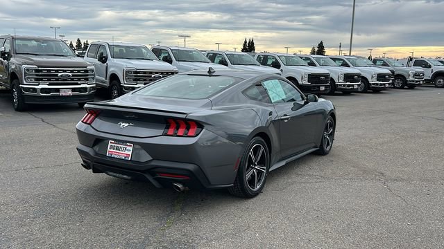 Certified 2024 Ford Mustang Premium image 3