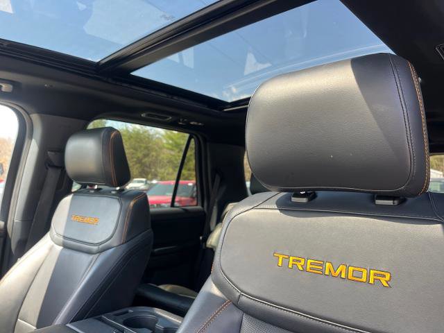 Certified 2025 Ford Expedition Tremor image 7