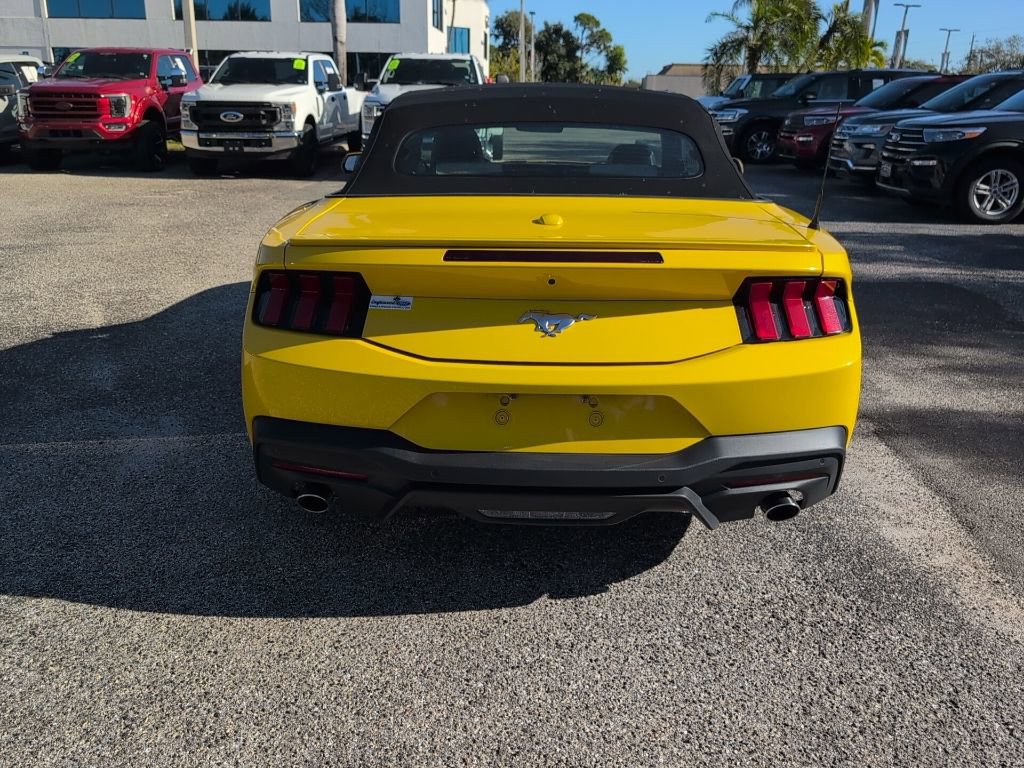 Certified 2024 Ford Mustang Premium image 4