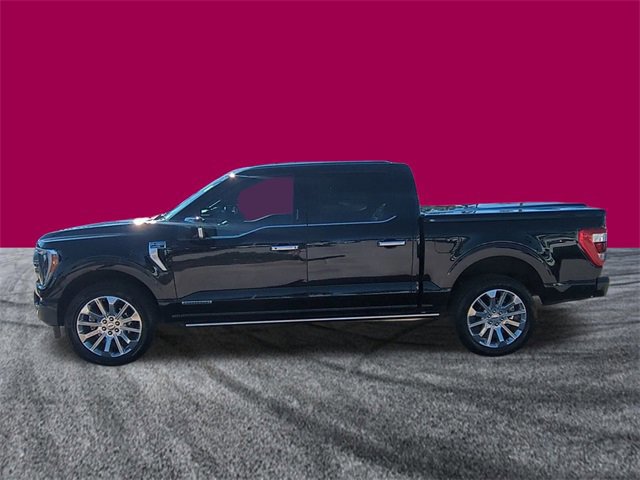 Certified 2023 Ford F150 Limited image 2