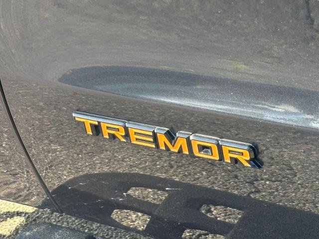 Certified 2025 Ford Expedition Tremor AWD/4WD image 11