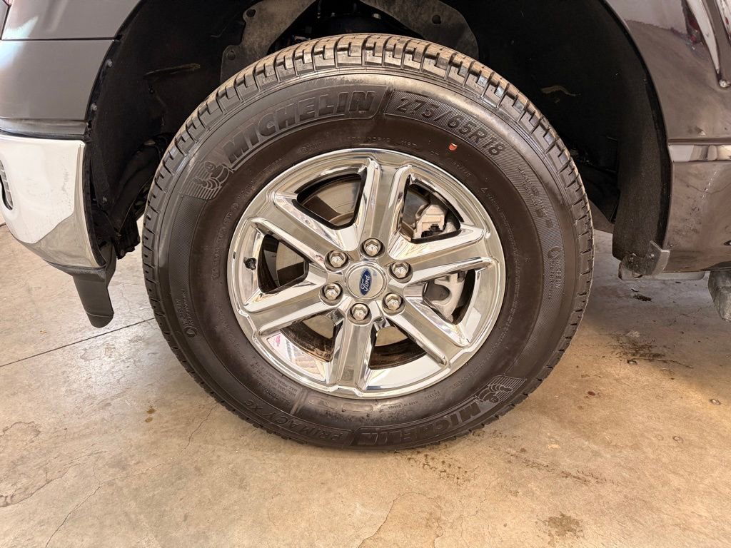 Certified 2025 Ford F150 XLT w/ Equipment Group 301A Standard image 15