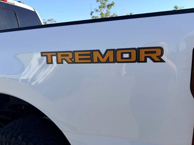 Certified 2024 Ford F350 XLT w/ Tremor Off-Road Package AWD/4WD image 25
