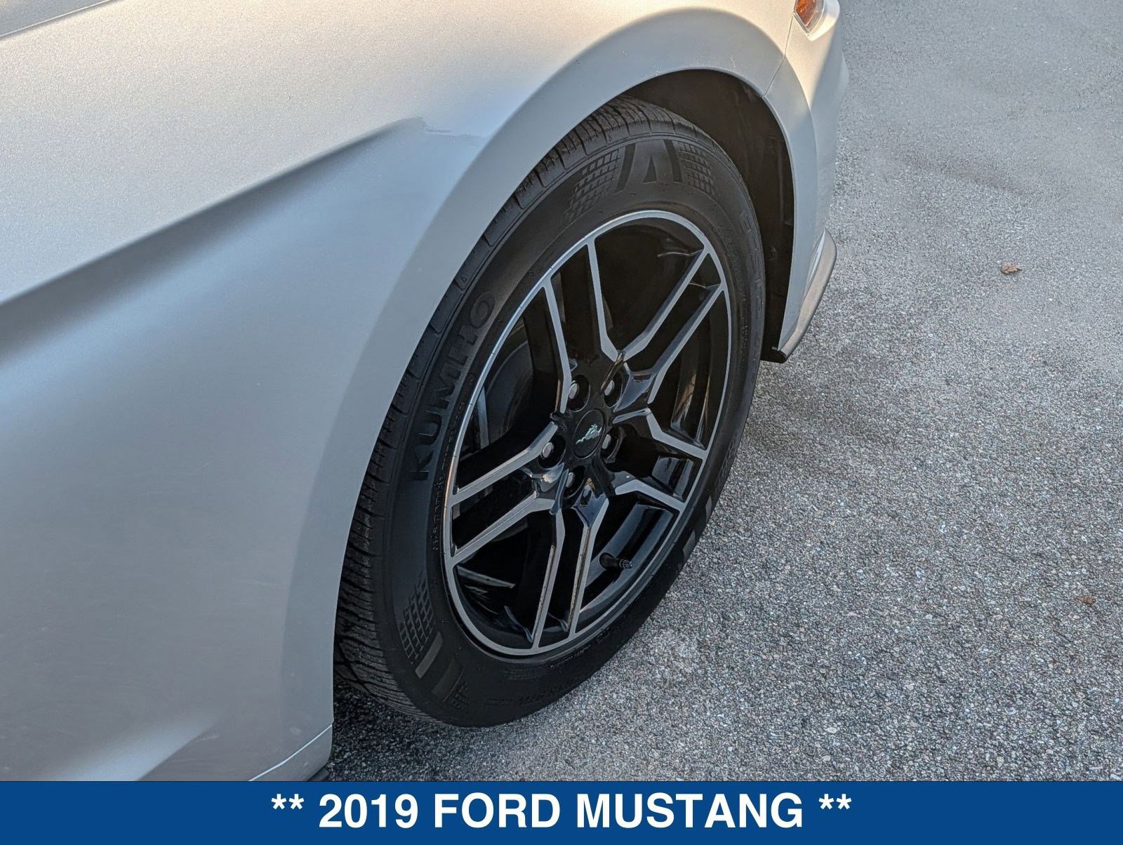 Certified 2019 Ford Mustang Premium image 12