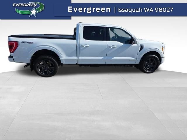 Certified 2023 Ford F150 XLT w/ Equipment Group 302A High