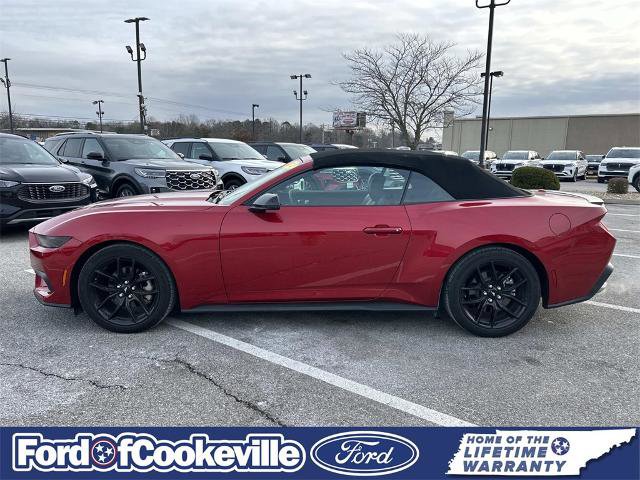 Certified 2024 Ford Mustang Premium image 7