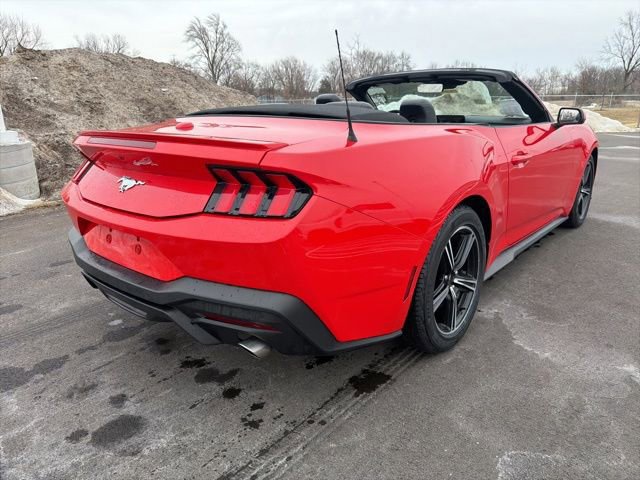 Certified 2024 Ford Mustang Premium image 6