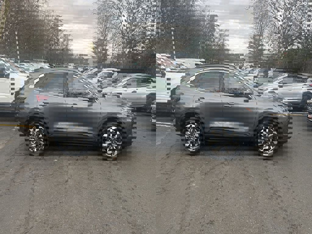 Certified 2024 Ford Escape Platinum image 4