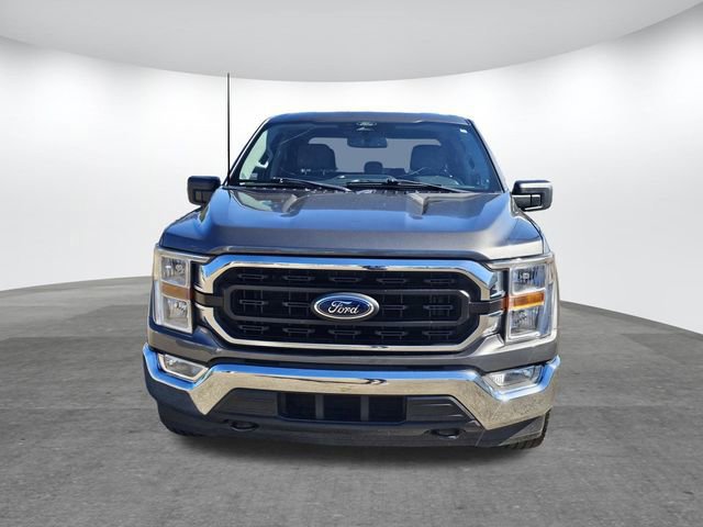 Certified 2022 Ford F150 XLT w/ Equipment Group 301A Mid image 7