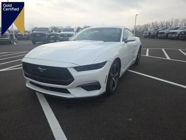 Certified 2025 Ford Mustang Premium image 1