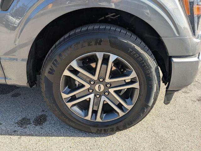 Certified 2023 Ford F150 XL w/ STX Appearance Package RWD image 11