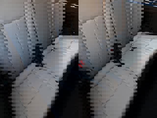 Certified 2023 Ford Expedition XLT image 13