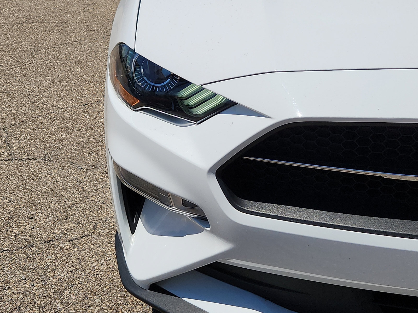 Certified 2021 Ford Mustang Premium w/ Pony Package RWD image 9
