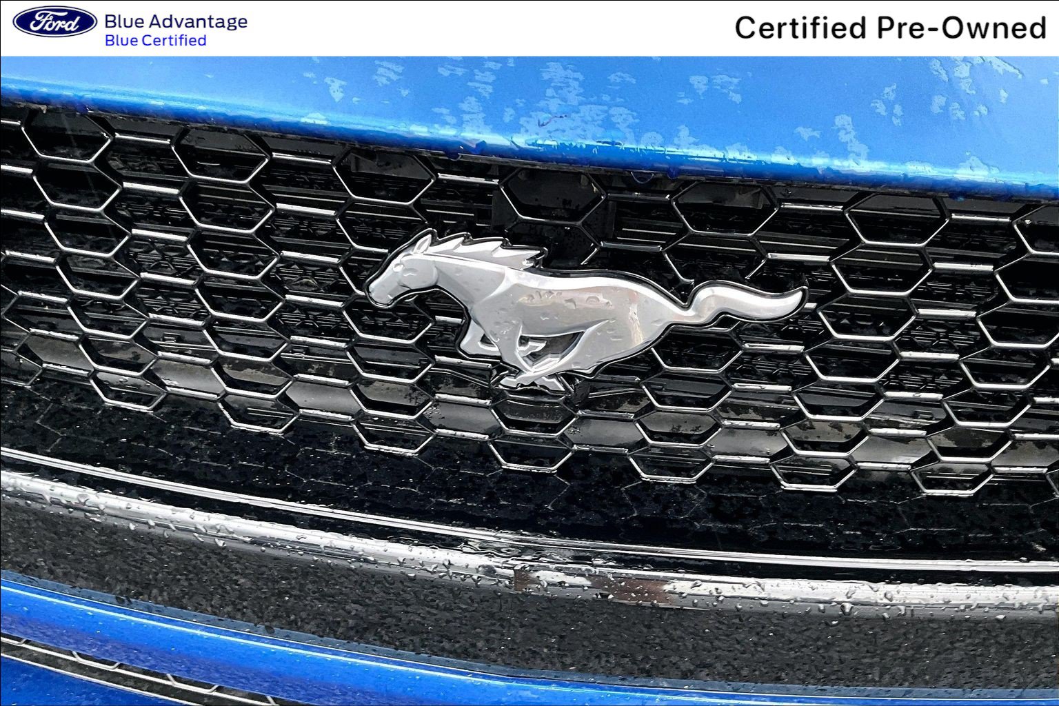 Certified 2024 Ford Mustang GT Premium RWD image 31