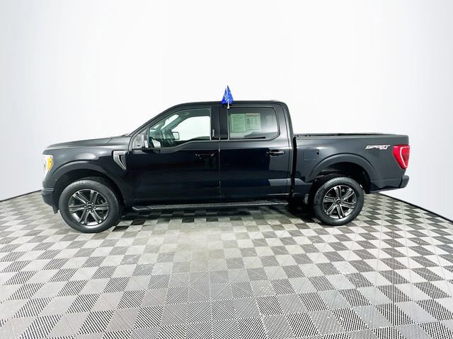Certified 2023 Ford F150 XLT w/ Equipment Group 302A High image 2
