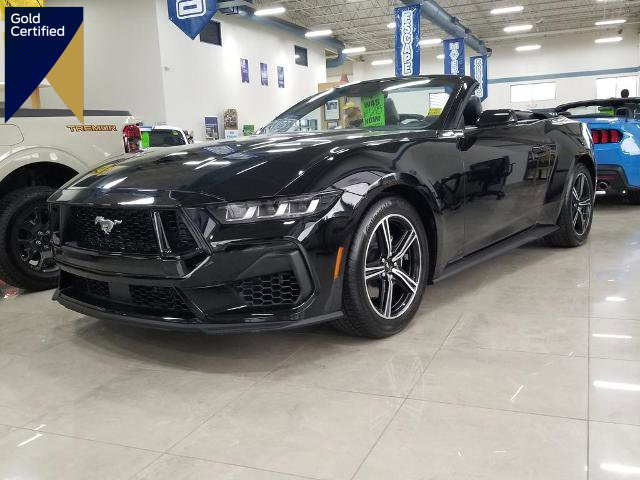 Certified 2024 Ford Mustang Premium image 1