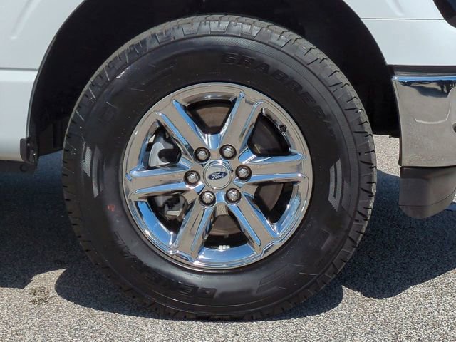 Certified 2025 Ford F150 XLT w/ Equipment Group 301A Standard image 11